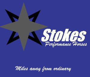 Stokes Performance Horses